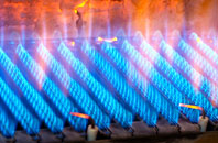 Panshanger gas fired boilers